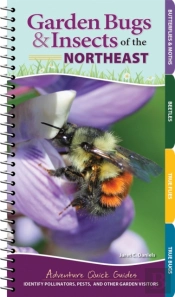 Garden Bugs & Insects Of The Northeast