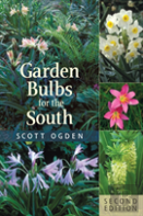 Garden Bulbs For The South