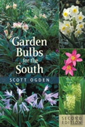 Garden Bulbs For The South