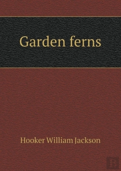 Bertrand.pt - Garden Ferns