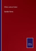 Garden Ferns