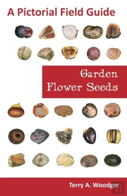 Bertrand.pt - Garden Flower Seeds