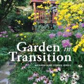 Garden In Transition
