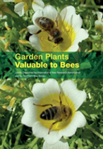 Garden Plants Valuable To Bees