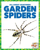 Garden Spiders