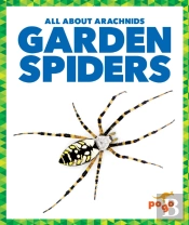 Garden Spiders