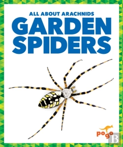 Bertrand.pt - Garden Spiders