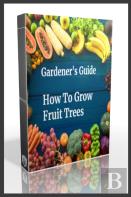 Gardener'S Guide How To Grow Fruit Trees
