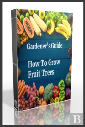 Gardener'S Guide How To Grow Fruit Trees