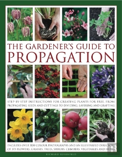 Bertrand.pt - Gardener'S Guide To Propagation