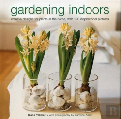 Bertrand.pt - Gardening Indoor
