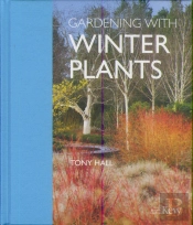 Gardening With Winter Plants