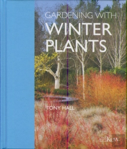 Bertrand.pt - Gardening With Winter Plants
