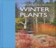 Gardening With Winter Plants