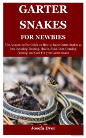 Garter Snakes For Newbies