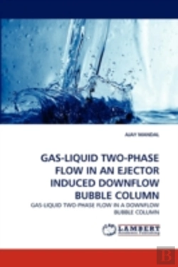 Bertrand.pt - Gas-Liquid Two-Phase Flow In An Ejector Induced Downflow Bubble Column