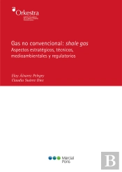 Gas No Convencional: Shale Gas