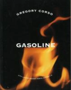 Bertrand.pt - Gasoline