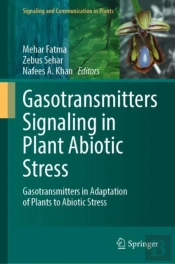 Gasotransmitters Signaling In Plant Abiotic Stress