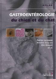 Gastroentérologie Du Chien Et Du Chat