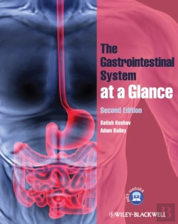 Bertrand.pt - Gastrointestinal System At A Glance