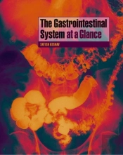 Gastrointestinal System At A Glance