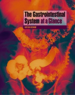 Bertrand.pt - Gastrointestinal System At A Glance
