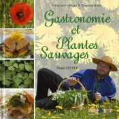 Gastronomie Et Plantes Sauvages