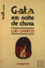 Gata em Noite de Chuva