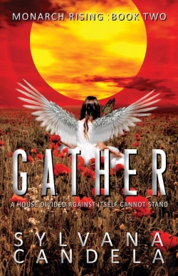 Bertrand.pt - Gather