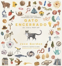Bertrand.pt - Gato Encerrado