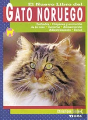 Gato Noruego