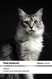 Gatos: (Casi) Una Historia Natural