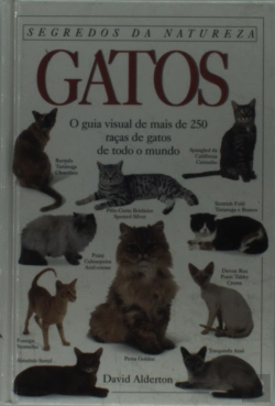 Bertrand.pt - Gatos