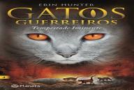 Gatos Guerreiros N.º 4