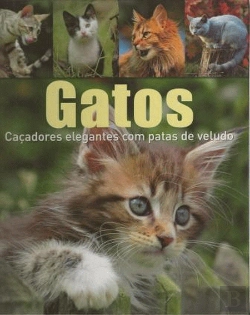 Bertrand.pt - Gatos