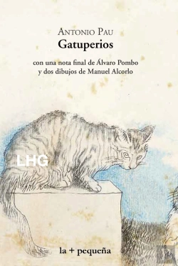 Bertrand.pt - Gatuperios