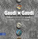 Gaudi × Gaudi