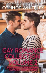 Gay Romance Collection Volume 2