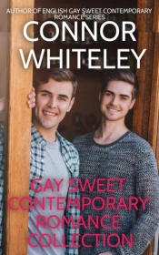 Gay Sweet Contemporary Romance Collection
