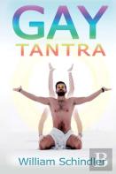 Gay Tantra 2nd Edition Hardcover