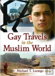 Gay Travels In The Muslim World