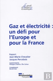 Gaz Et Électricité : Un Défi Pour L'Europe Et Pour La France