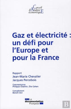 Bertrand.pt - Gaz Et Électricité : Un Défi Pour L'Europe Et Pour La France