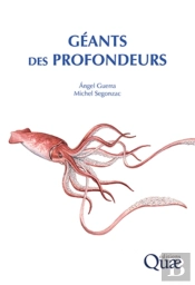 Géants Des Profondeurs