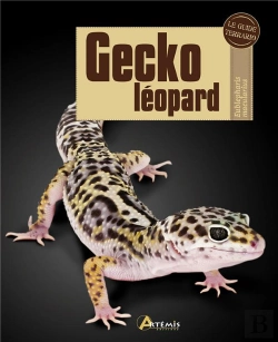 Bertrand.pt - Gecko Leopard