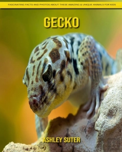 Bertrand.pt - Gecko