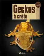 Geckos À Crête