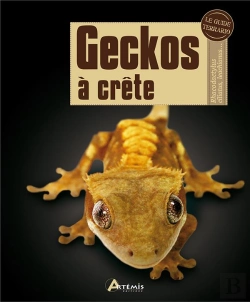 Bertrand.pt - Geckos À Crête