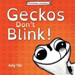 Bertrand.pt - Geckos Don'T Blink